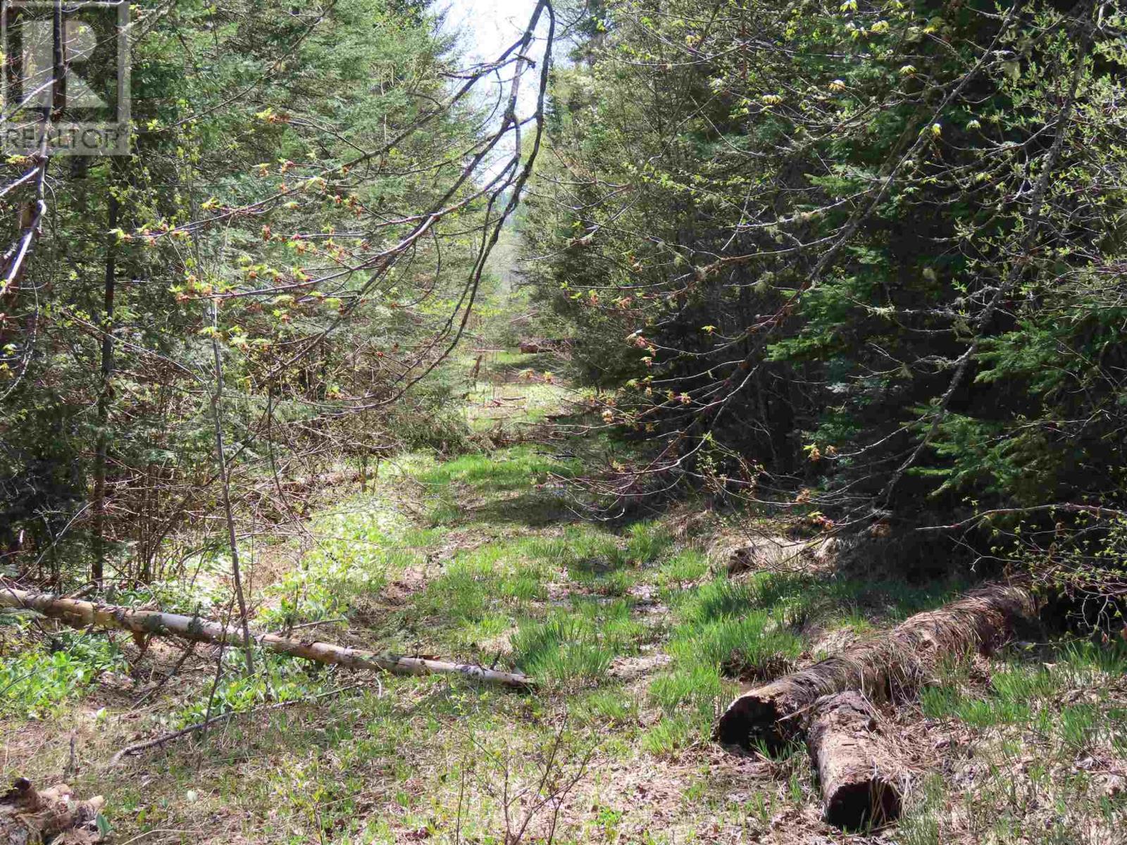 Pt Sec 20 Robertson Lake Rd Property Photo 2