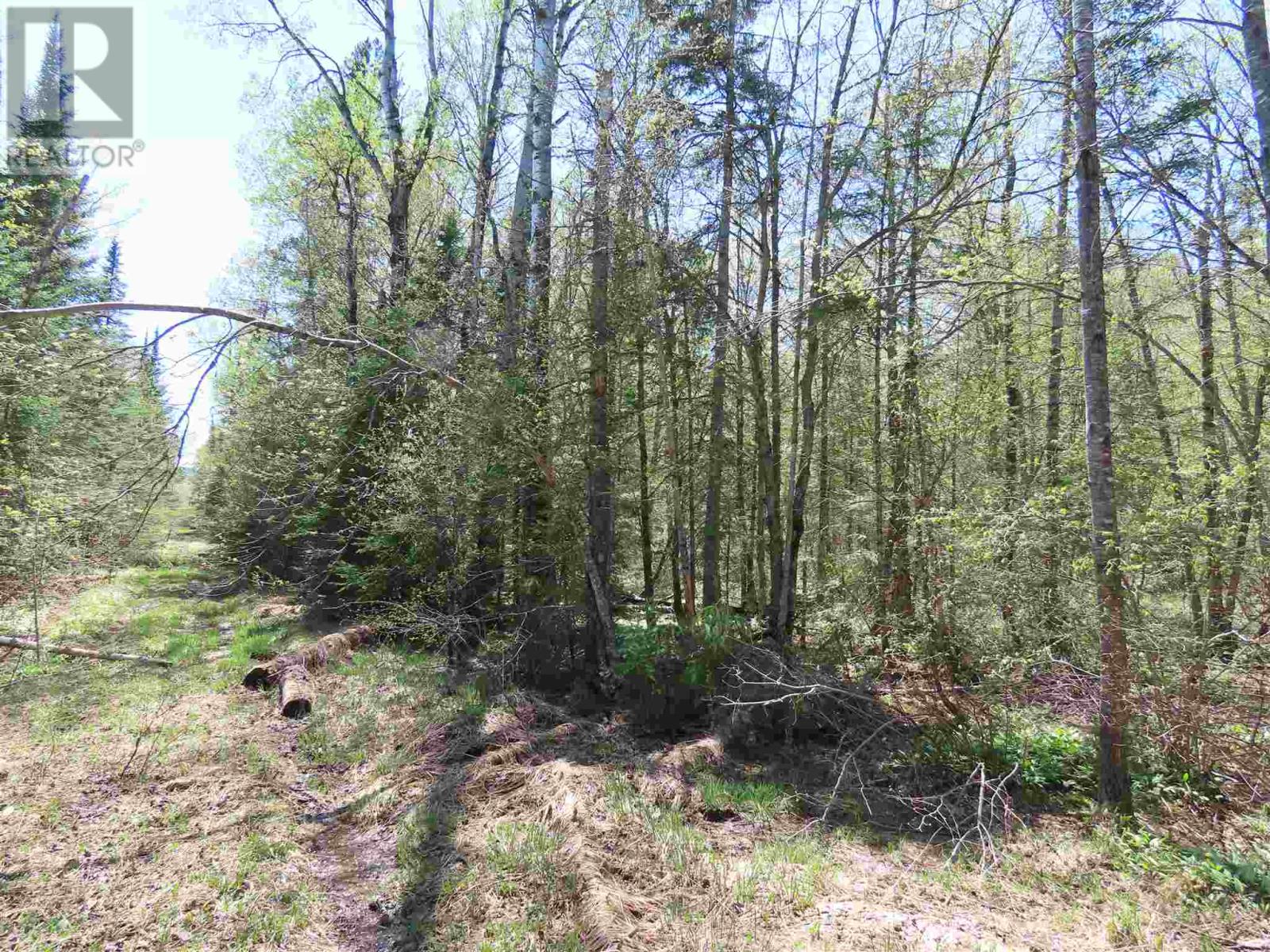 Pt Sec 20 Robertson Lake Rd Property Photo 3