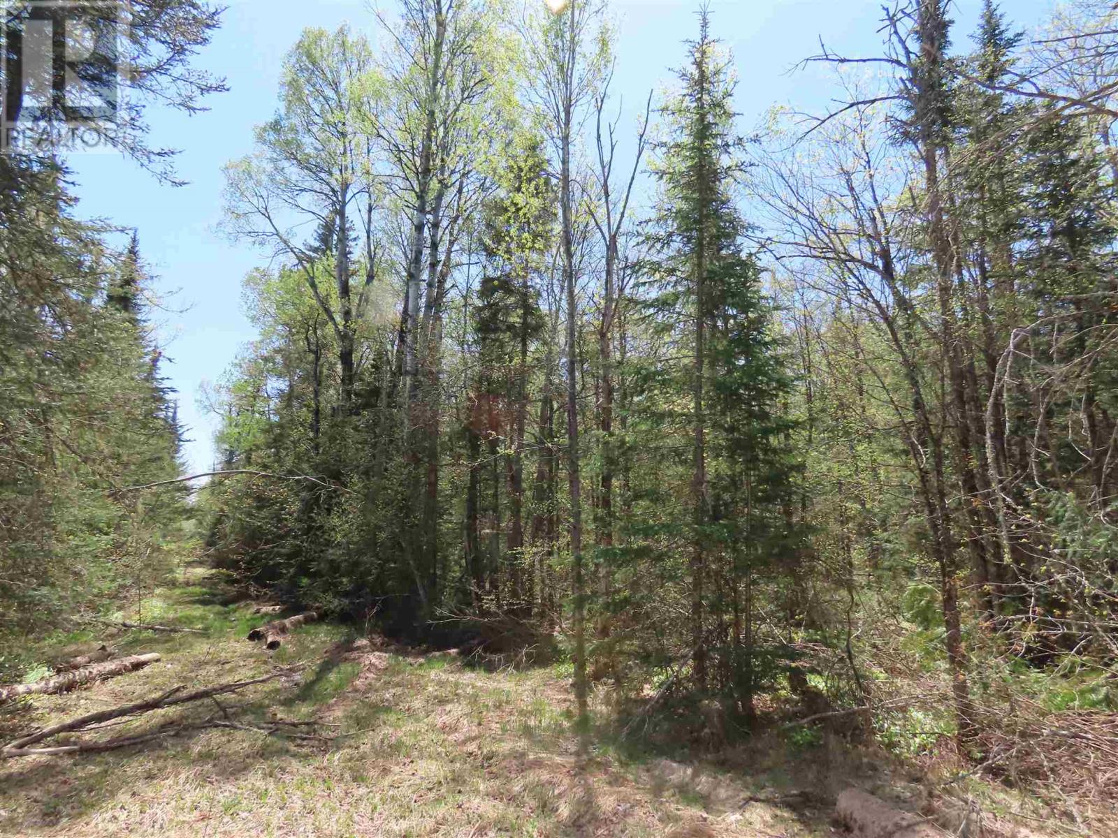Pt Sec 20 Robertson Lake Rd Property Photo 4