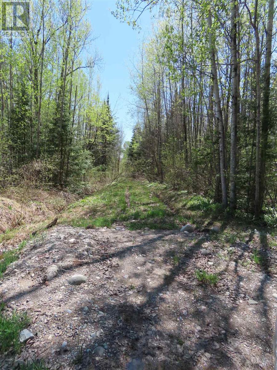 Pt Sec 20 Robertson Lake Rd Property Photo 5