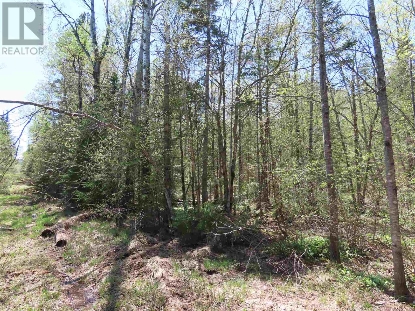 Pt Sec 20 Robertson Lake Rd Property Photo 7