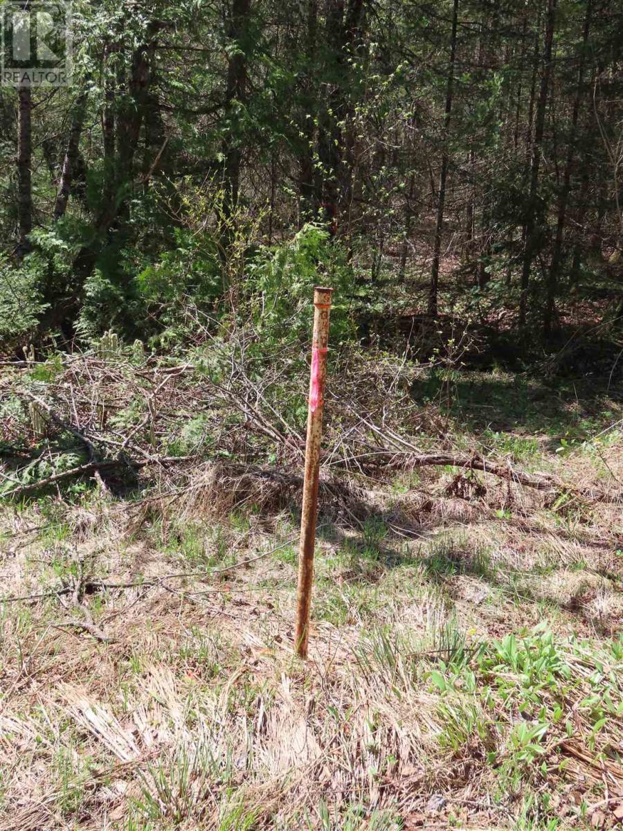 Pt Sec 20 Robertson Lake Rd Property Photo 8