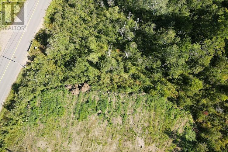 3 Lots & 50 Acre Parcel Woodward Ave Property Photo 1