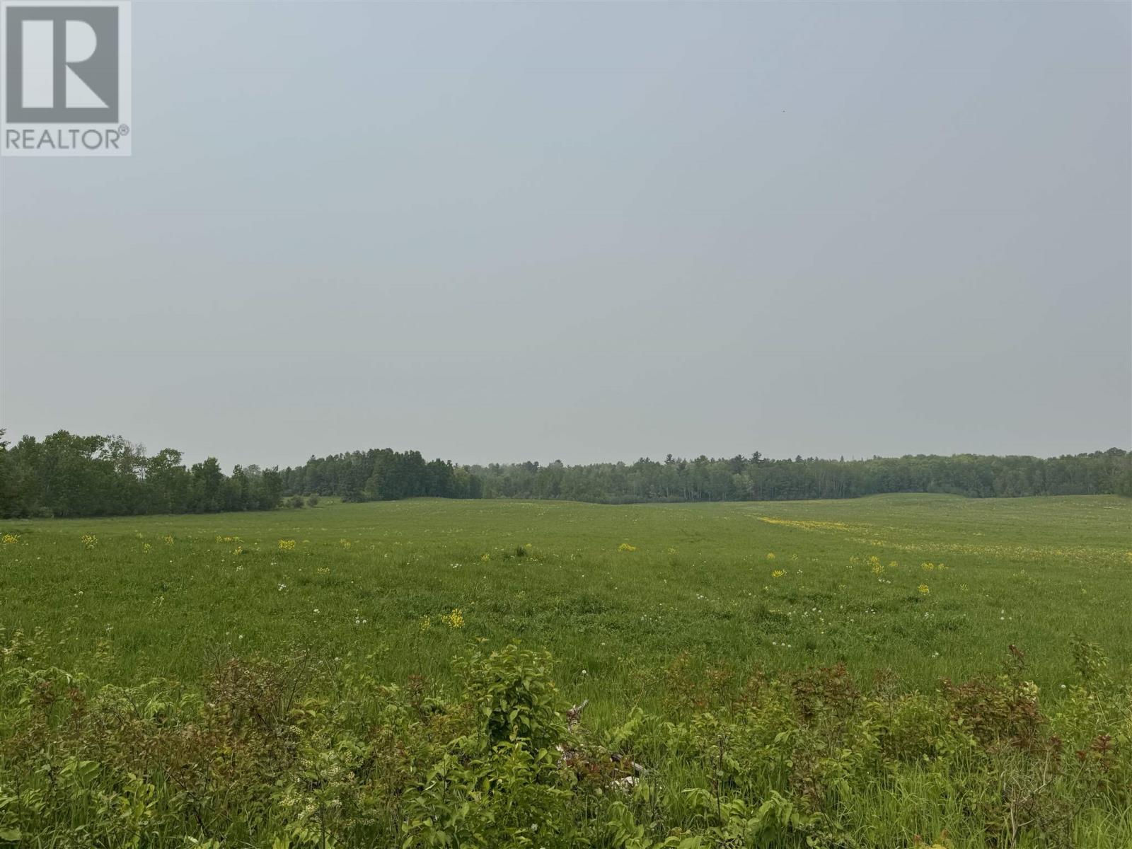 504 Mcphail Rd Property Photo 32