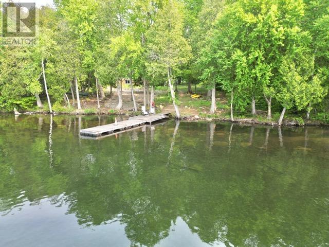 884 Dunlop Shores Rd Property Photo 4