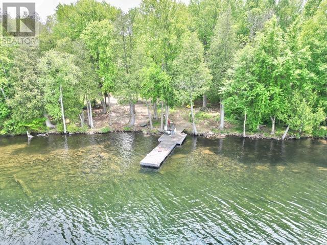 884 Dunlop Shores Rd Property Photo 42