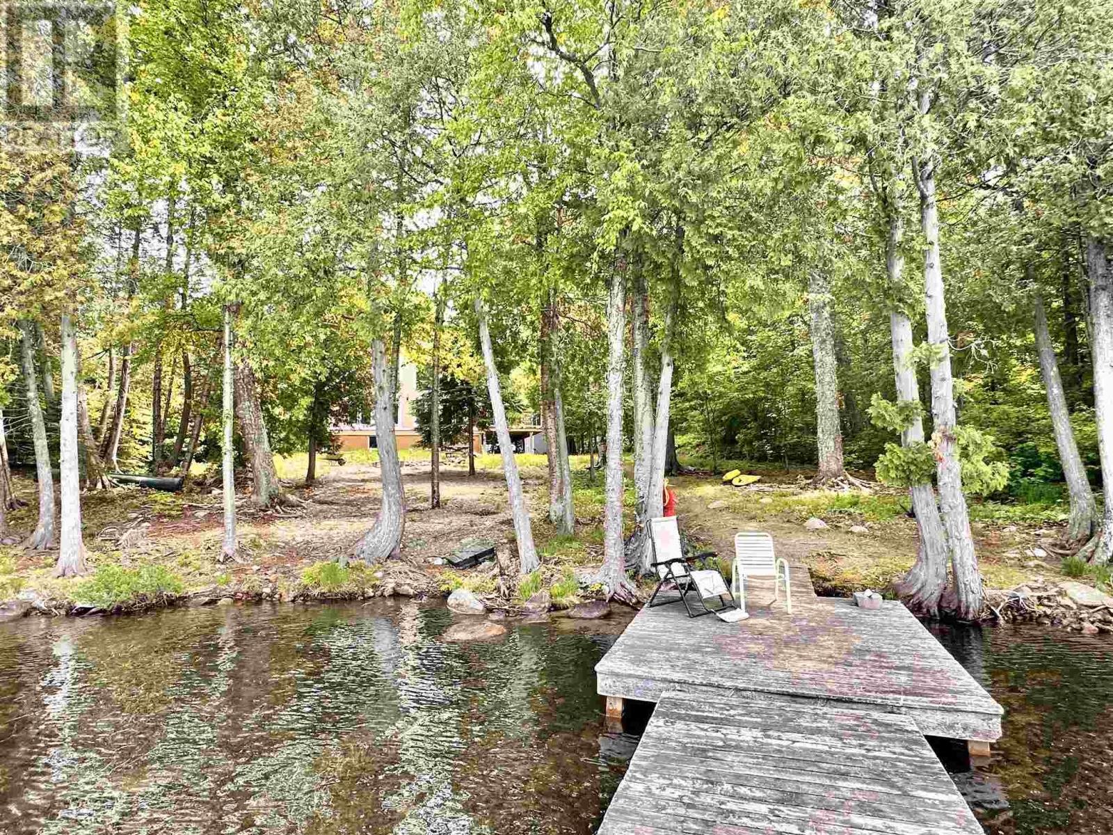 884 Dunlop Shores Rd Property Photo 43