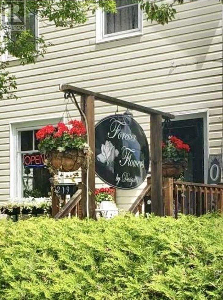 219 Main St Property Photo 1