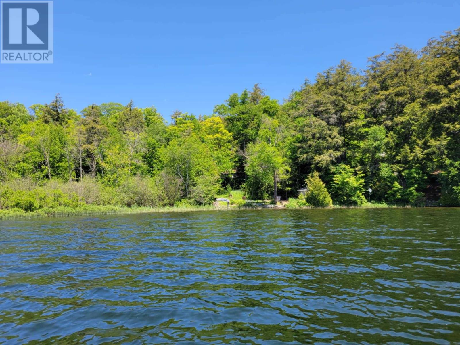 . Bass Lake Lot Property Photo 1