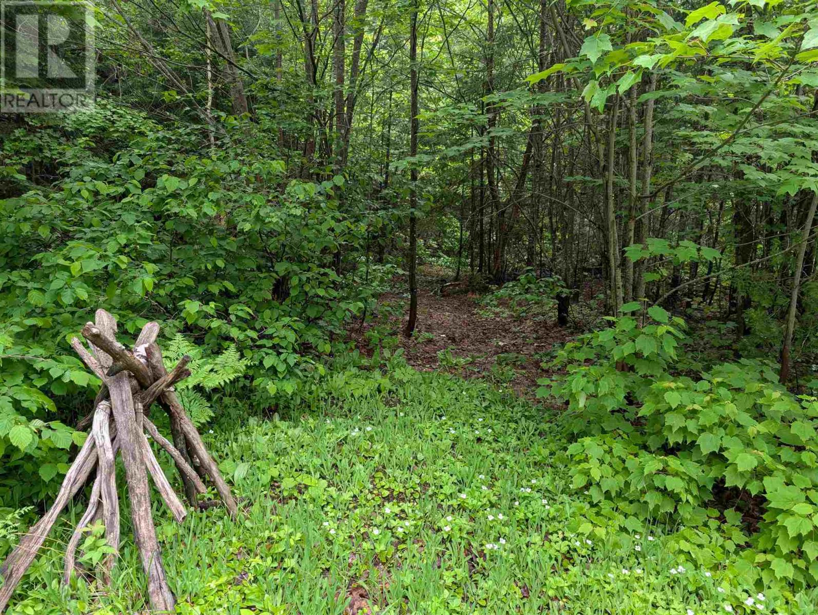 Meenach Lake Property Photo 8