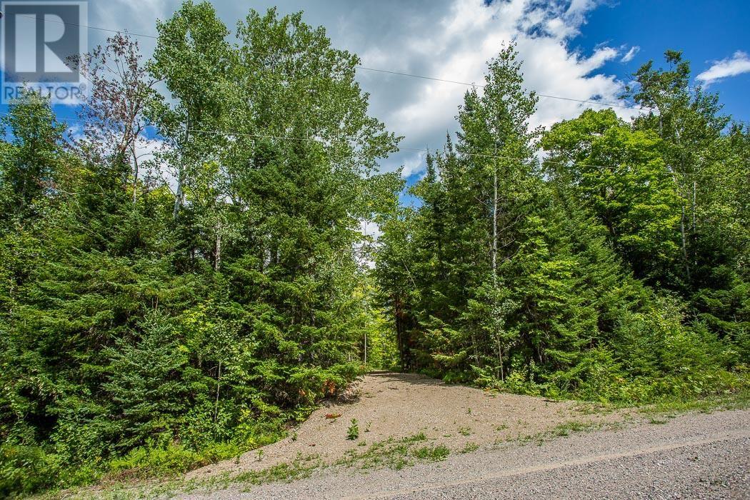 Lot 28 Richmond Bay Rd, Hilton Township Property Photo 7