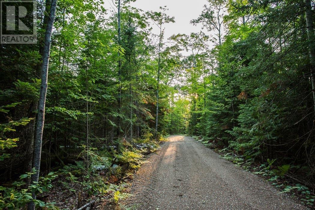 Lot 28 Richmond Bay Rd, Hilton Township Property Photo 14
