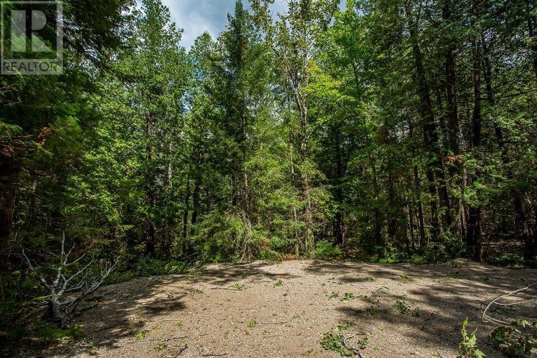 Lot 28 Richmond Bay Rd, Hilton Township Property Photo 17