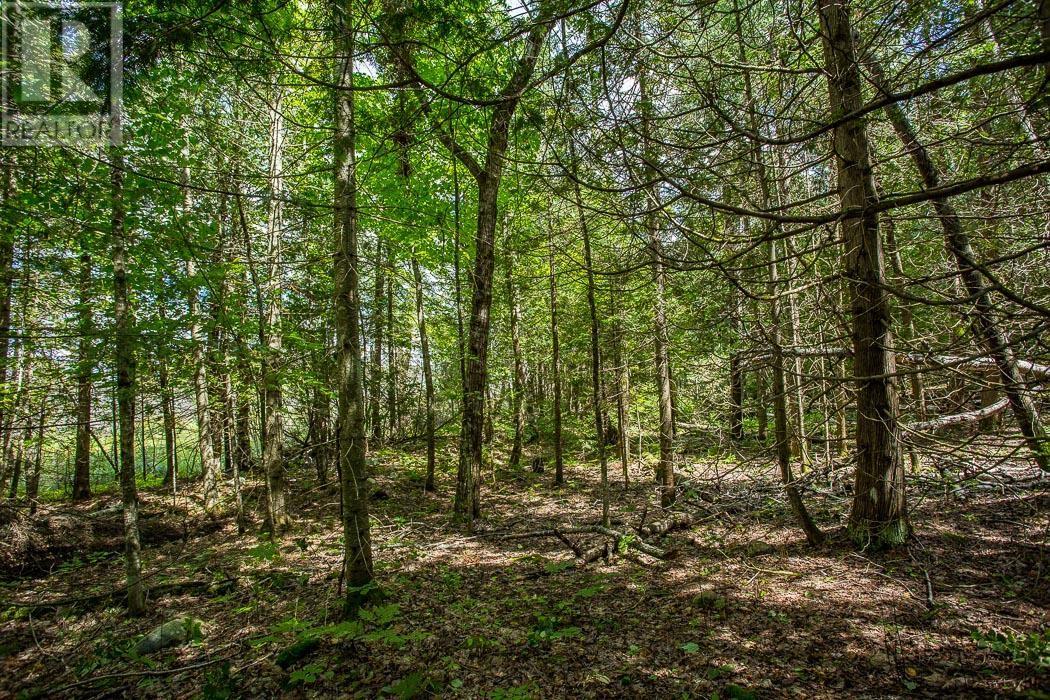 Lot 28 Richmond Bay Rd, Hilton Township Property Photo 19