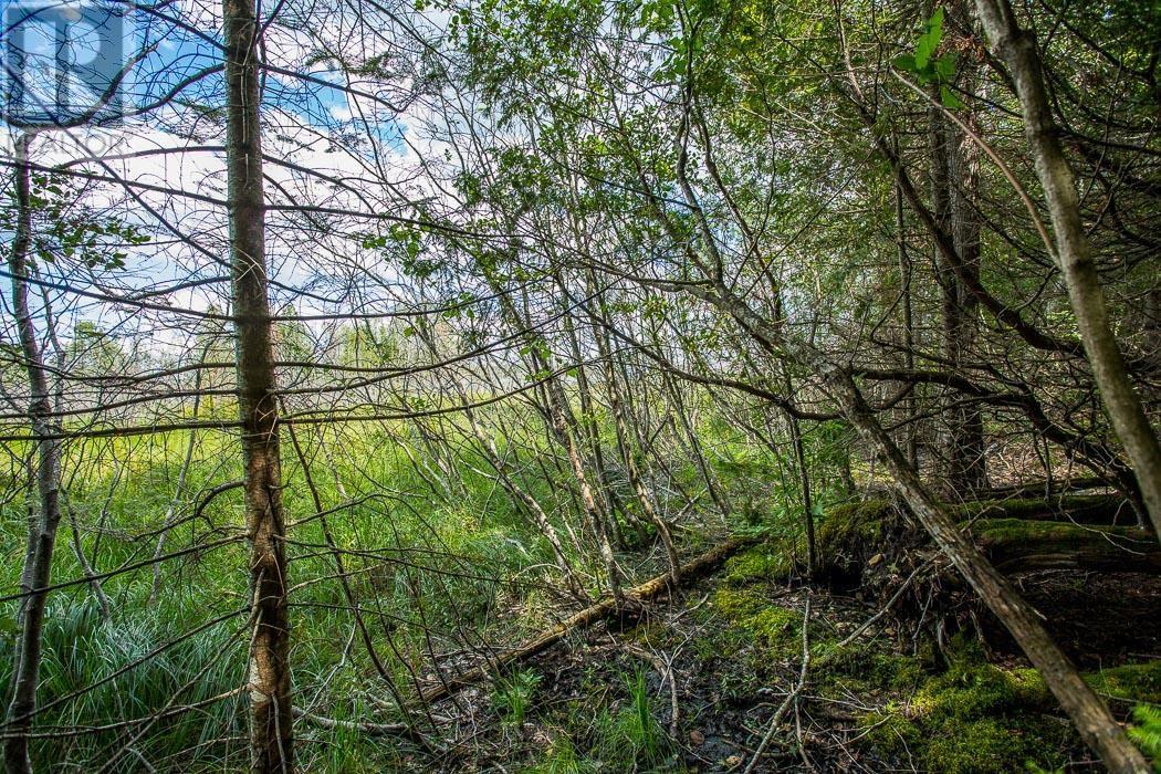 Lot 28 Richmond Bay Rd, Hilton Township Property Photo 20