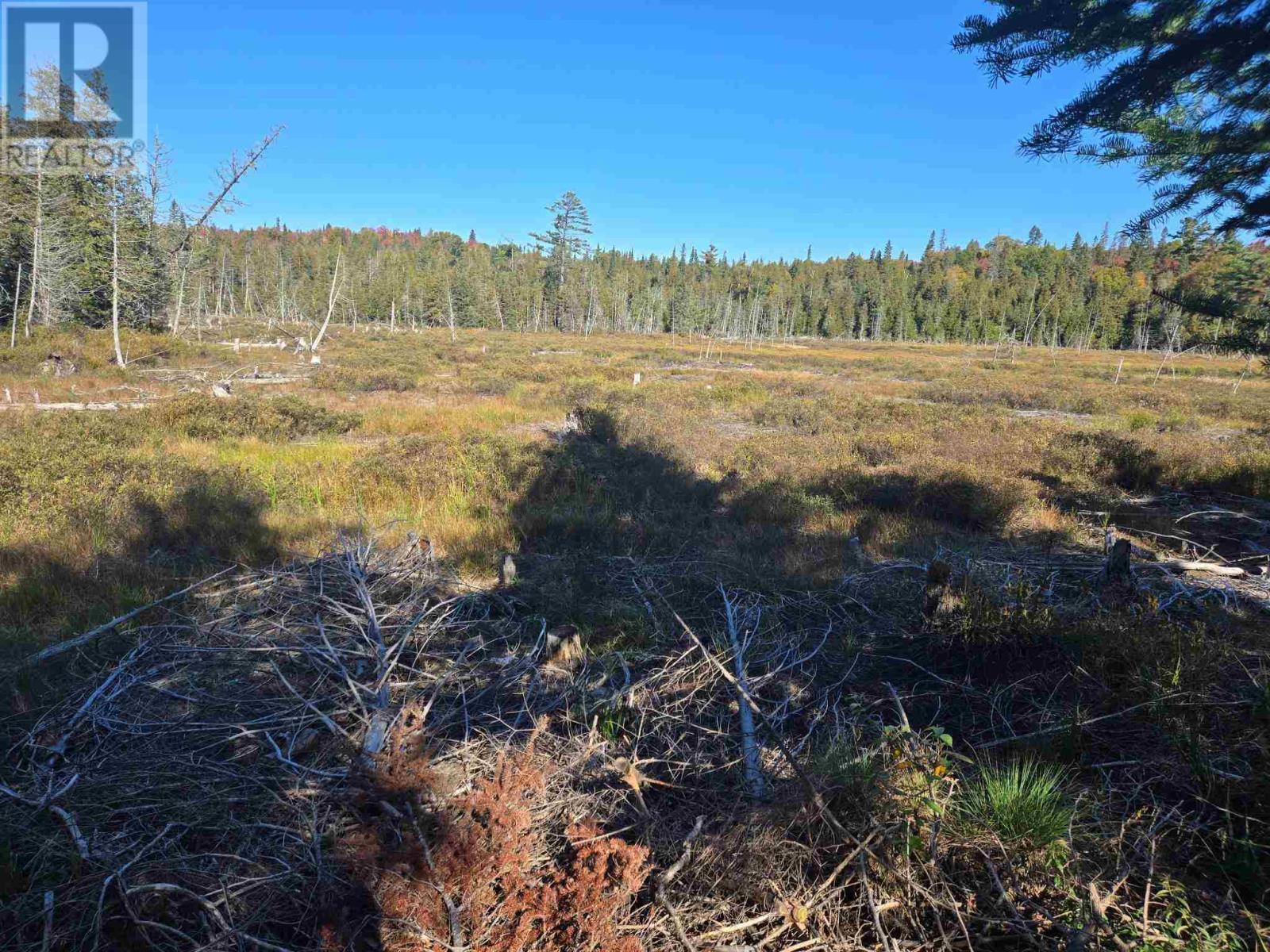 Miron Lease Spruce Lake Property Photo 19