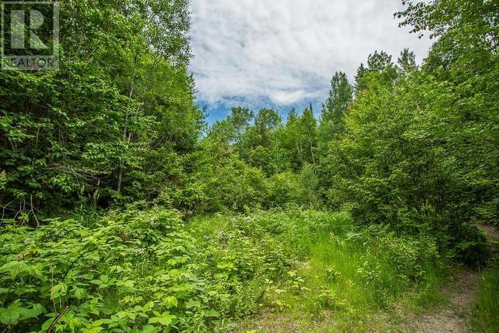 Highway 17 Sheppards Ln, Township Of North Shore Property Photo 7