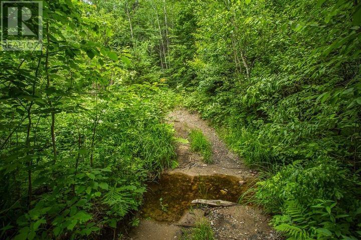 Highway 17 Sheppards Ln, Township Of North Shore Property Photo 8