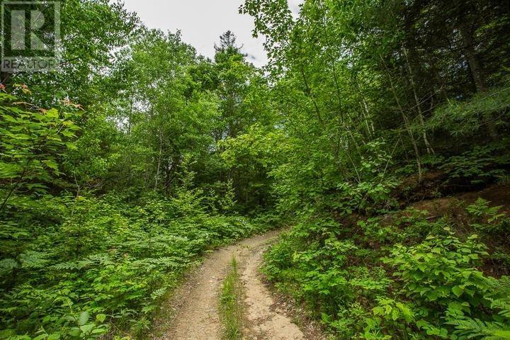 Highway 17 Sheppards Ln, Township Of North Shore Property Photo 10