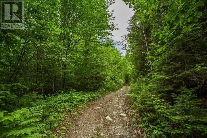 Highway 17 Sheppards Ln, Township Of North Shore Property Photo 11