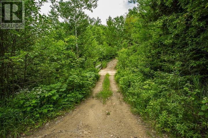 Highway 17 Sheppards Ln, Township Of North Shore Property Photo 13