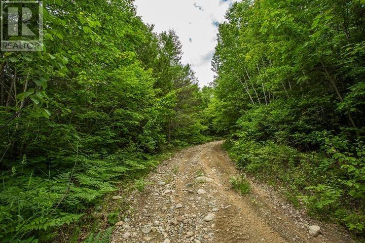 Highway 17 Sheppards Ln, Township Of North Shore Property Photo 15