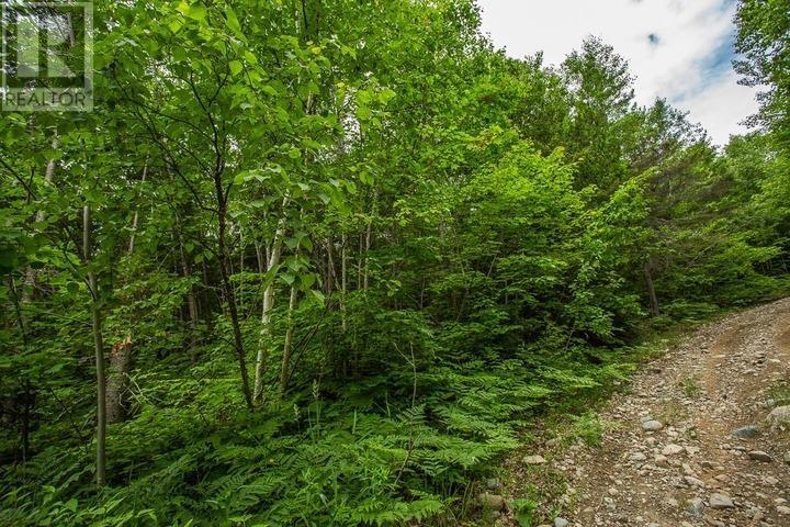 Highway 17 Sheppards Ln, Township Of North Shore Property Photo 16