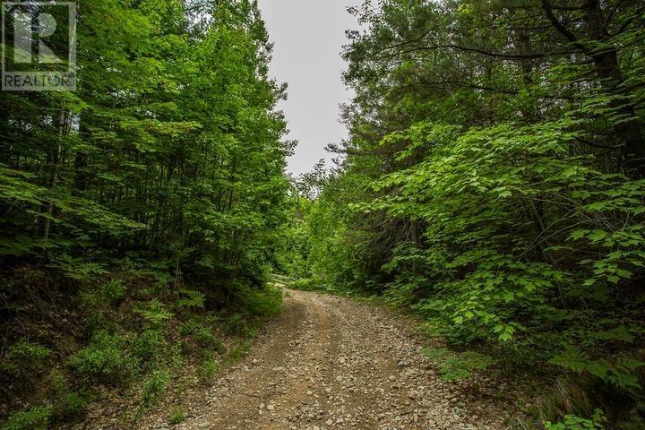 Highway 17 Sheppards Ln, Township Of North Shore Property Photo 17