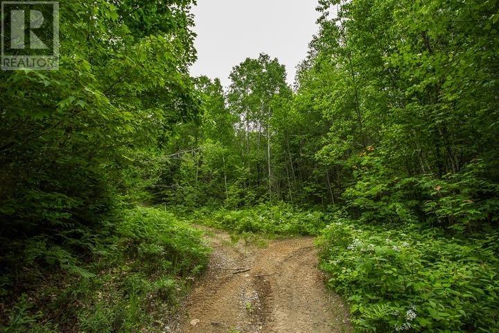 Highway 17 Sheppards Ln, Township Of North Shore Property Photo 18