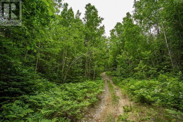 Highway 17 Sheppards Ln, Township Of North Shore Property Photo 19