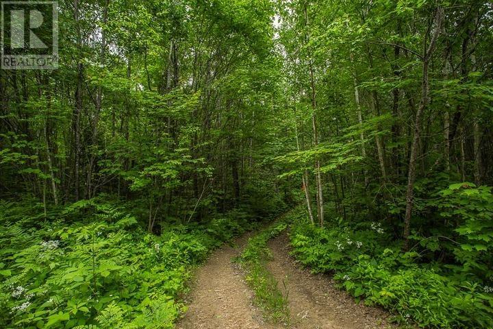 Highway 17 Sheppards Ln, Township Of North Shore Property Photo 20
