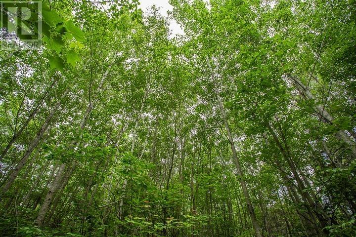 Highway 17 Sheppards Ln, Township Of North Shore Property Photo 21