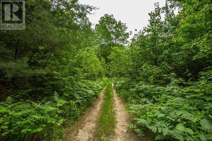 Highway 17 Sheppards Ln, Township Of North Shore Property Photo 23