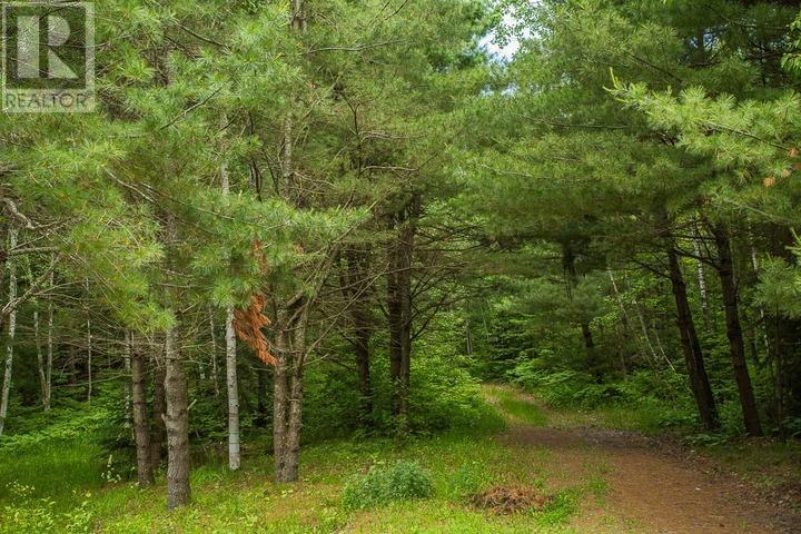 Highway 17 Sheppards Ln, Township Of North Shore Property Photo 24