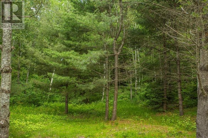 Highway 17 Sheppards Ln, Township Of North Shore Property Photo 25