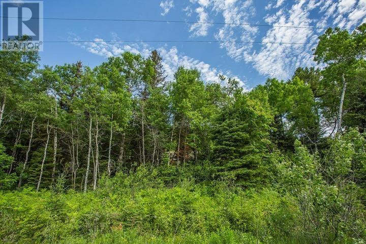 Highway 17 Sheppards Ln, Township Of North Shore Property Photo 28