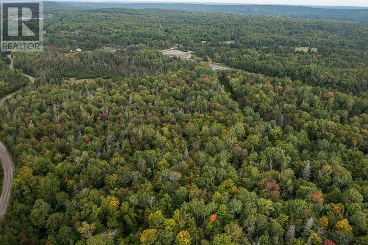 Trunk Road At Highway 17 East, Huron Shores Township Property Photo 10