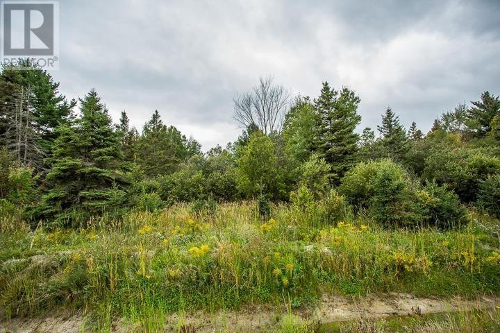 Trunk Road At Highway 17 East, Huron Shores Township Property Photo 19