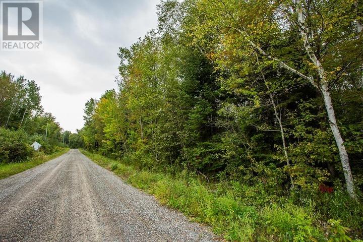 Trunk Road At Highway 17 East, Huron Shores Township Property Photo 23