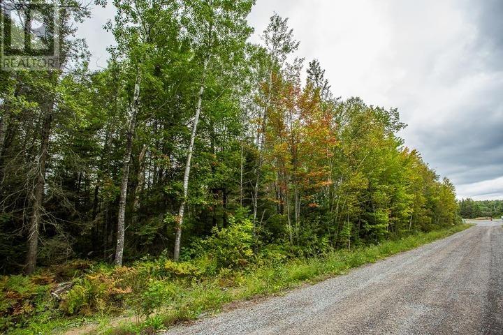 Trunk Road At Highway 17 East, Huron Shores Township Property Photo 24