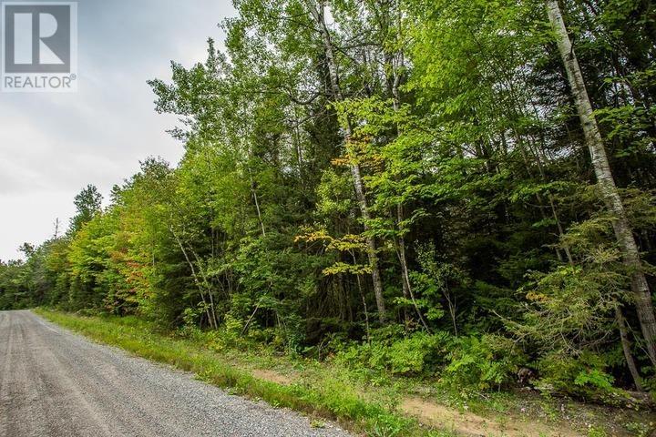 Trunk Road At Highway 17 East, Huron Shores Township Property Photo 25