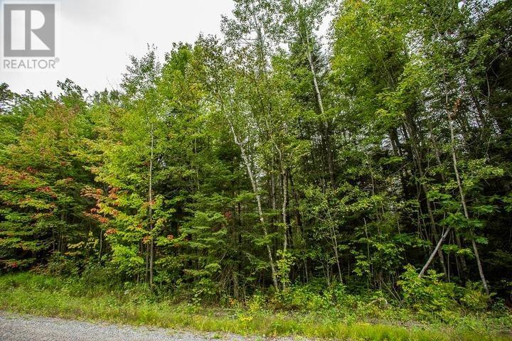 Trunk Road At Highway 17 East, Huron Shores Township Property Photo 26