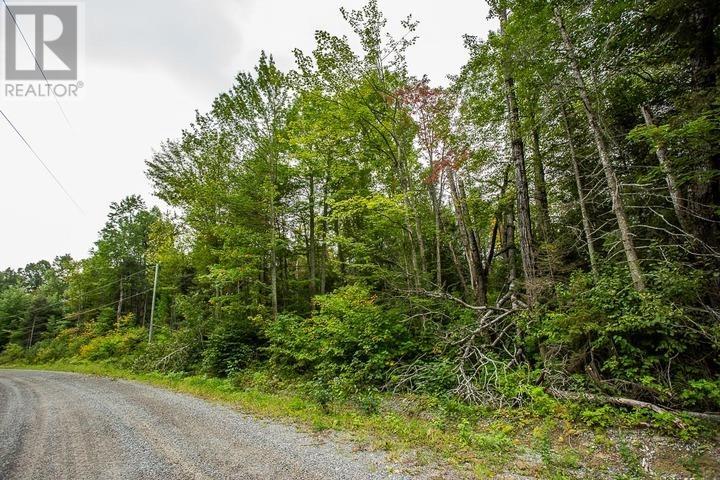 Trunk Road At Highway 17 East, Huron Shores Township Property Photo 27