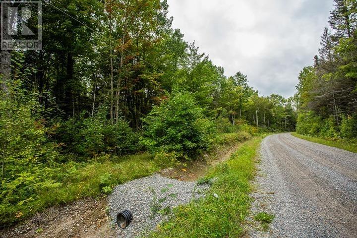 Trunk Road At Highway 17 East, Huron Shores Township Property Photo 29