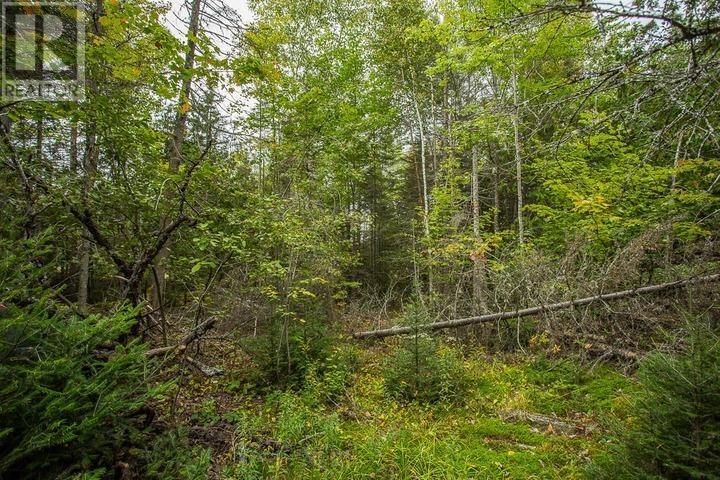 Trunk Road At Highway 17 East, Huron Shores Township Property Photo 34