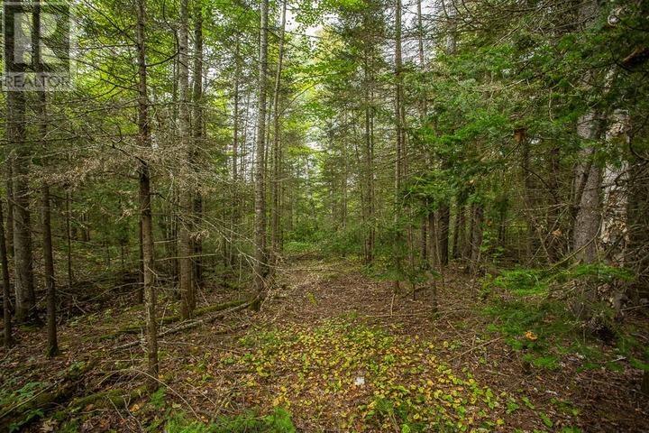 Trunk Road At Highway 17 East, Huron Shores Township Property Photo 35