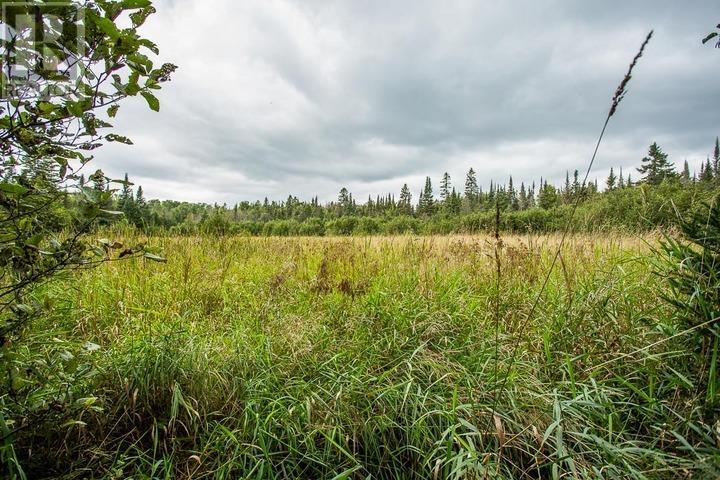 Trunk Road At Highway 17 East, Huron Shores Township Property Photo 37