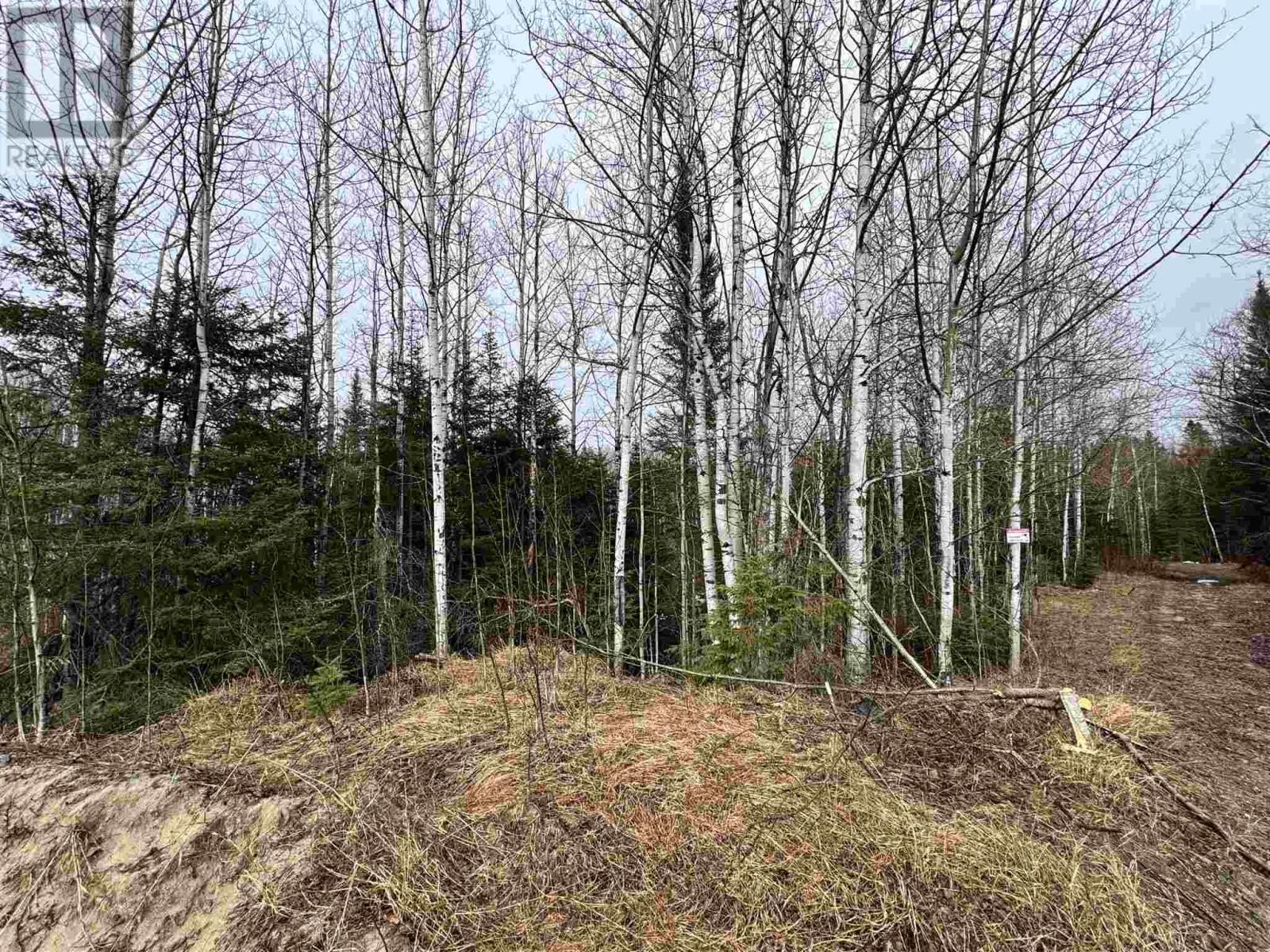 332 Highway 129 Property Photo 23