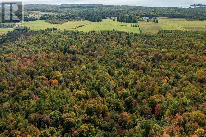 161 Concession Road 5, Plummer Additional Township Property Photo 6