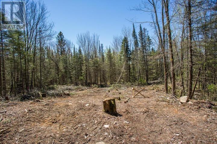 161 Concession Road 5, Plummer Additional Township Property Photo 16